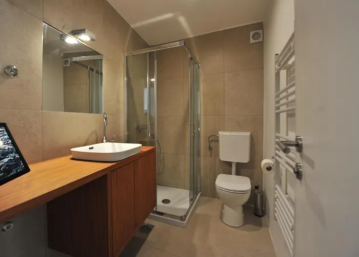 Historic Center Shelter