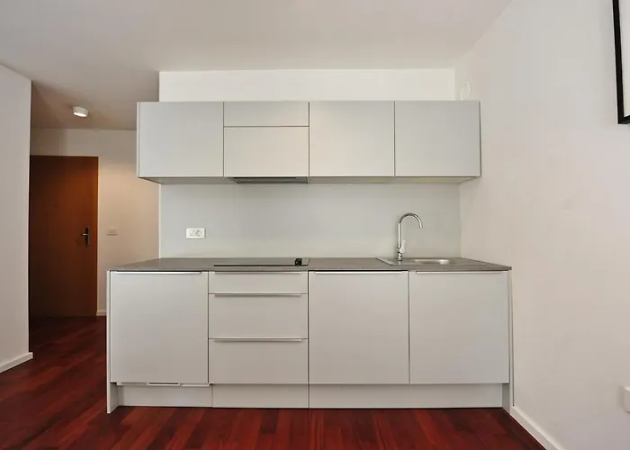 Historic Center Shelter